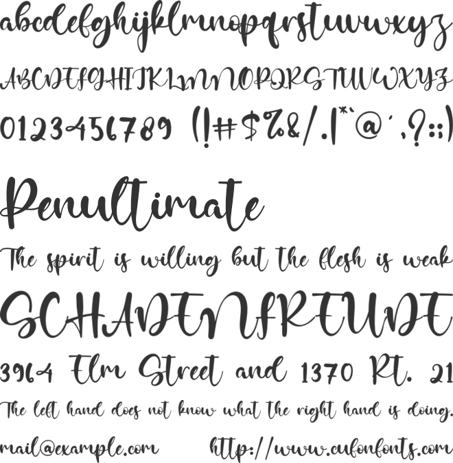 Hidden Coast font preview