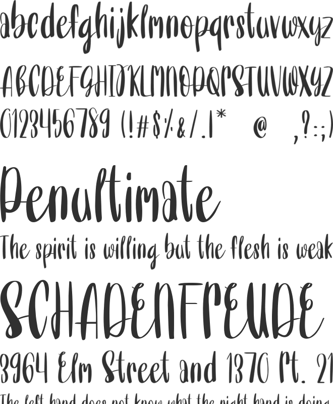 Without You font preview