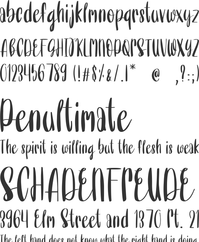 Without You font preview