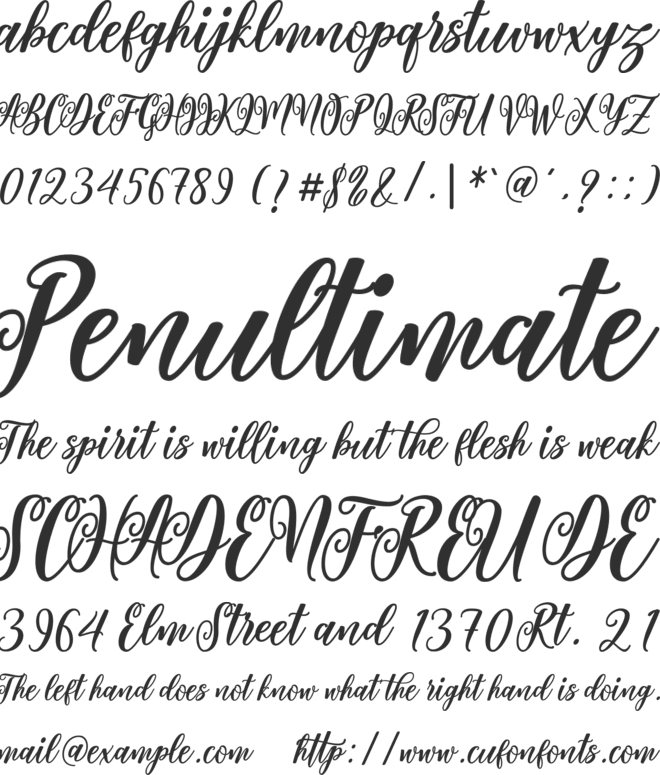 Valentine Script font preview