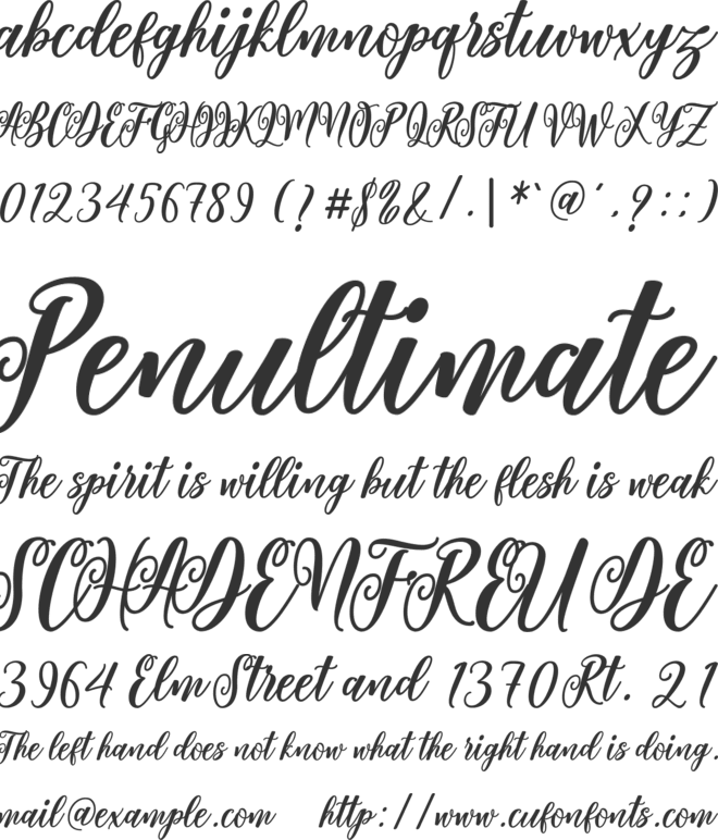 Valentine Script font preview