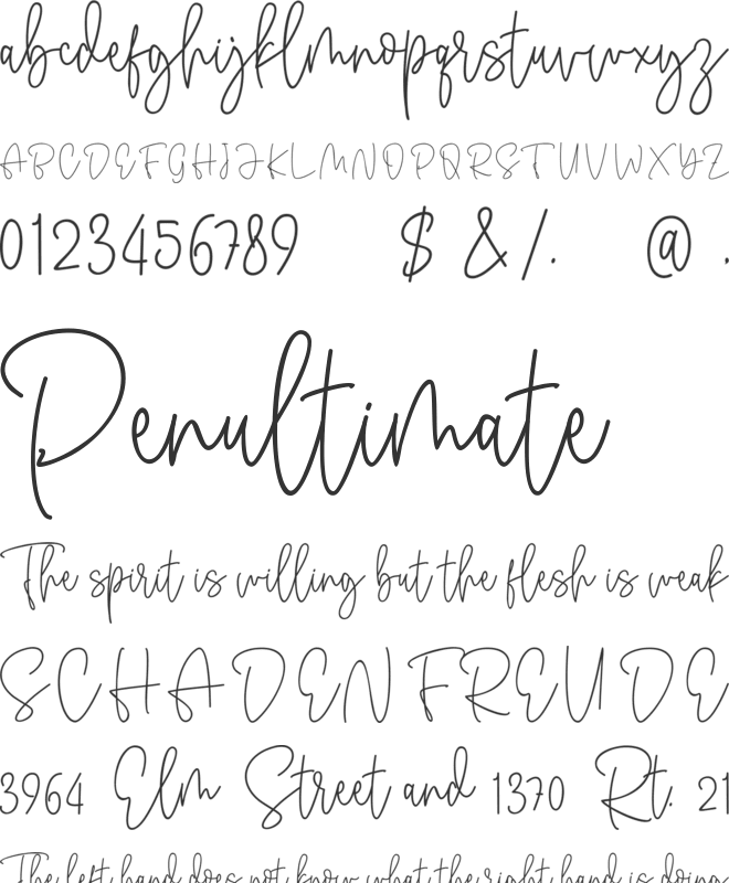 Antouk Script Personal Use font preview