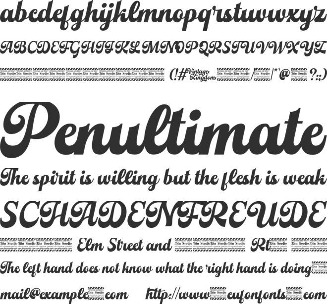 Vintage Kingdom personal use font preview
