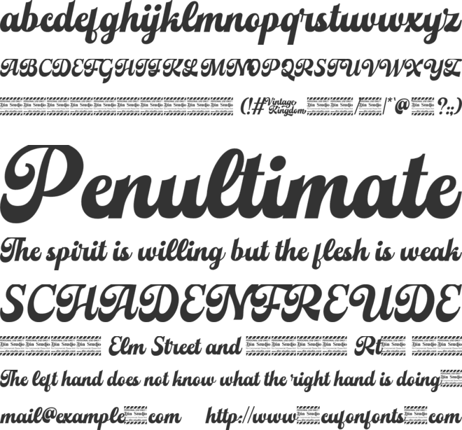 Vintage Kingdom personal use font preview