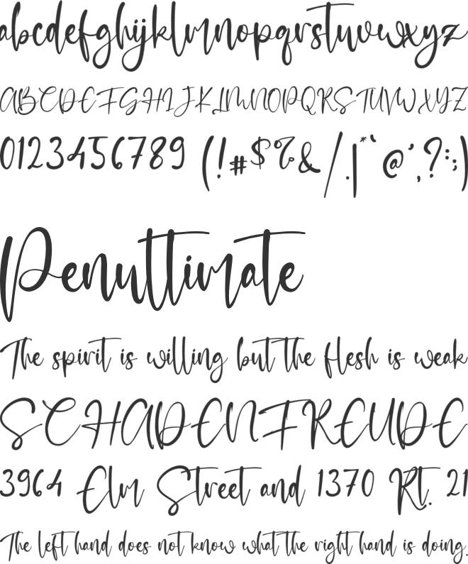 Freya Bowie font preview