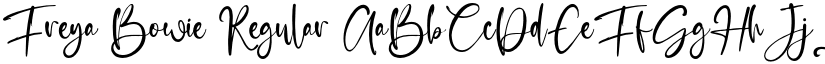 Freya Bowie Regular font