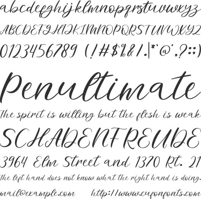 Minettone font preview