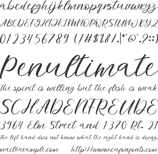 Minettone font preview