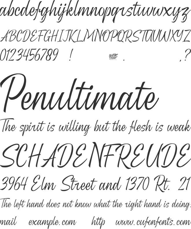 the font font preview