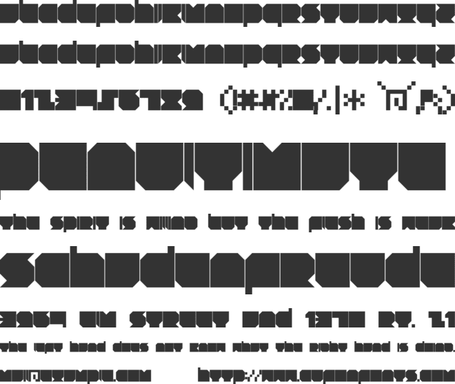 RNS TNT font preview