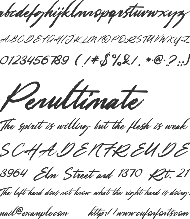 Hollywood Festival font preview