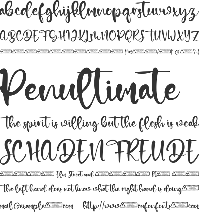 Nico Alex font preview