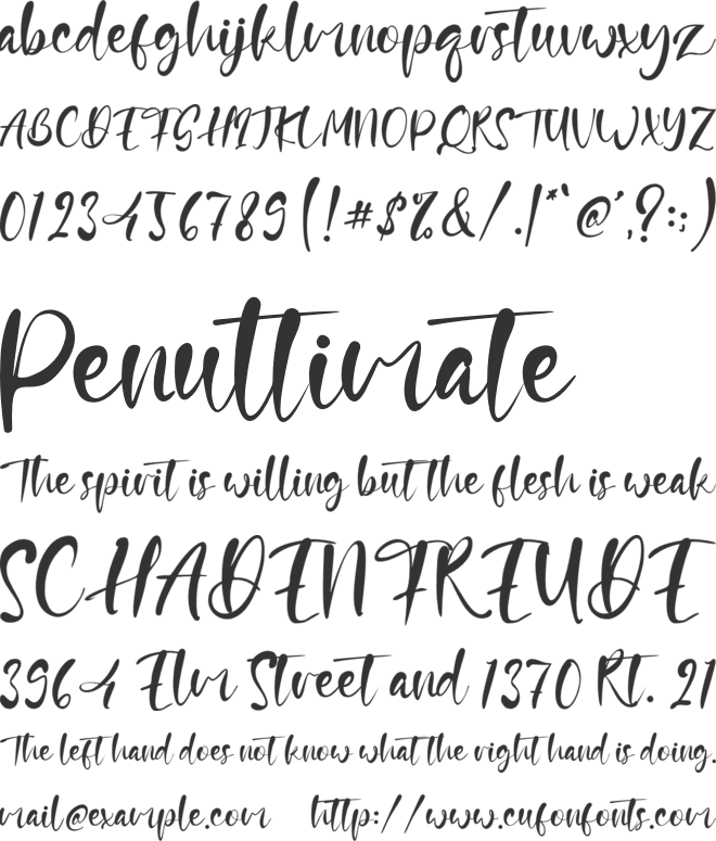 Susan Mehta font preview