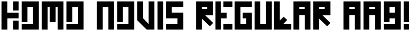 Homo Novis Regular font