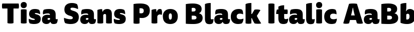 Tisa Sans Pro Black Italic font