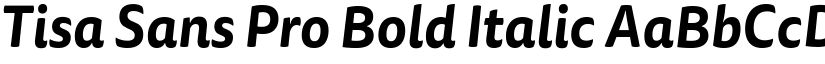 Tisa Sans Pro Bold Italic font