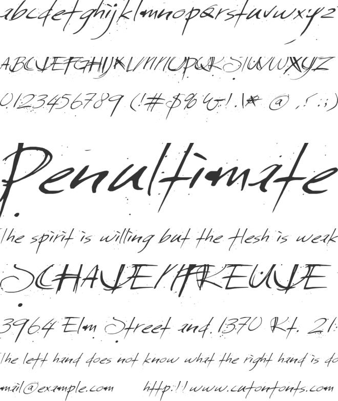 Sunday Monday font preview