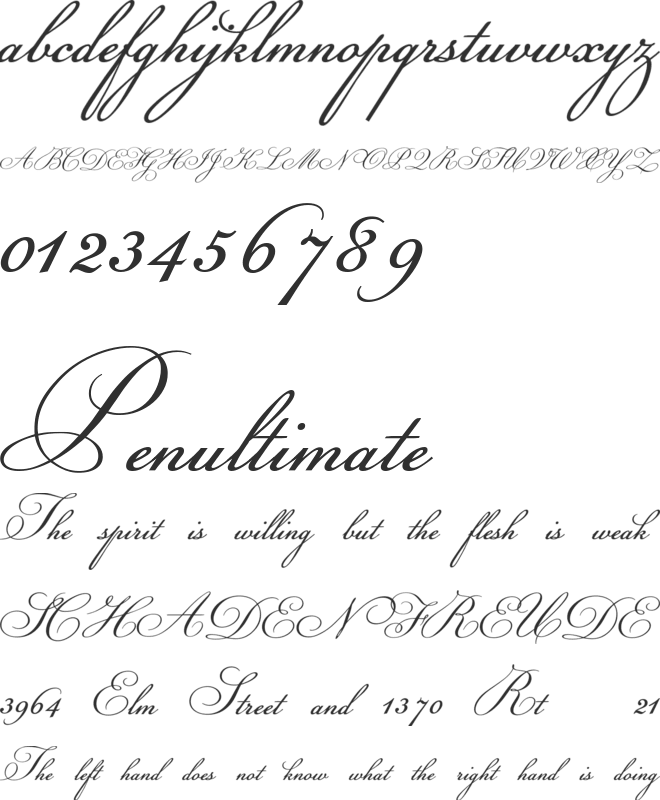 Champignon font preview