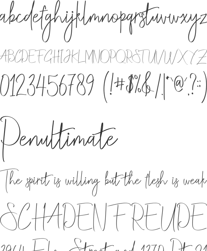 Christina Allie font preview