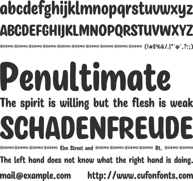 Scholarly Ambition font preview