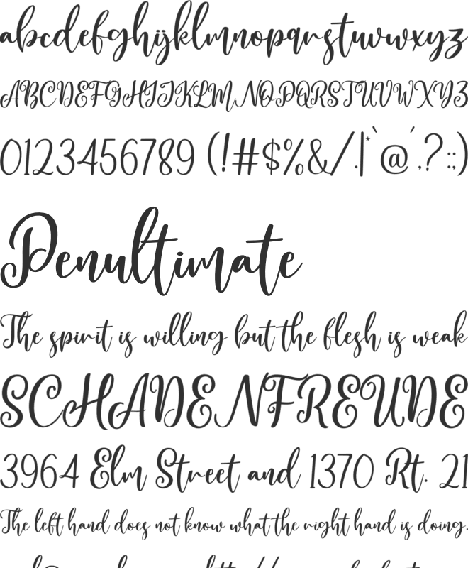 Wonderful Christmas font preview