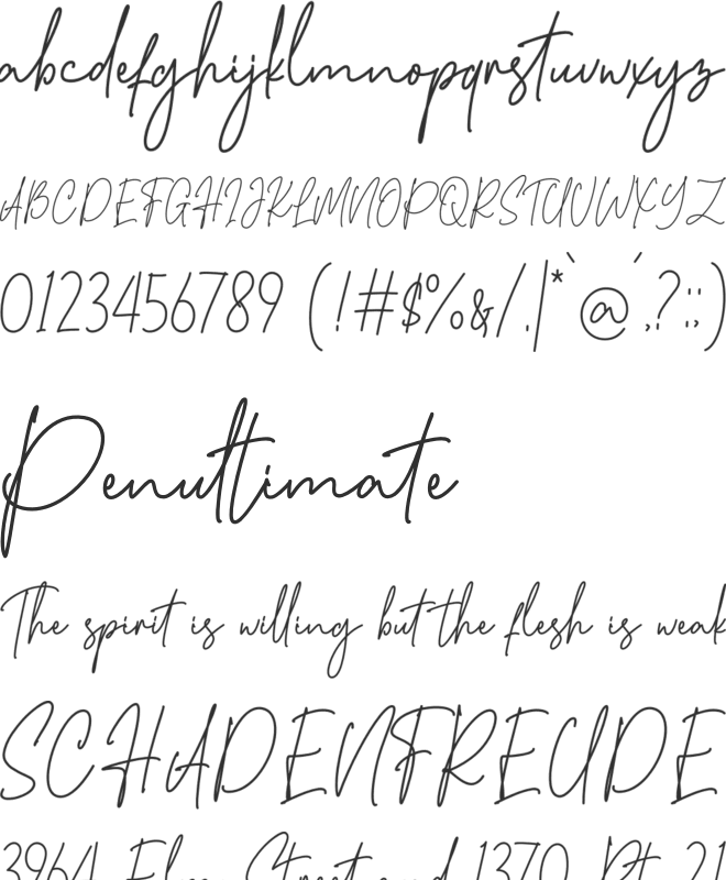 Sansburg Signature font preview
