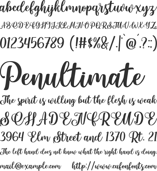 Portland Script font preview