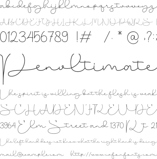 Olasthy Script font preview