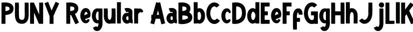 PUNY Regular font