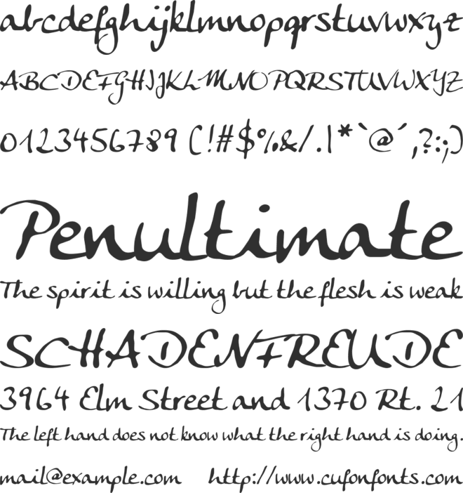 Anke Calligraphic FG font preview