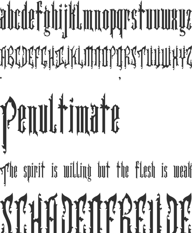 Cartographer font preview