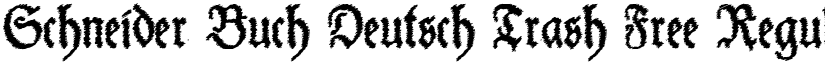 Schneider Buch Deutsch Trash Free Regular font
