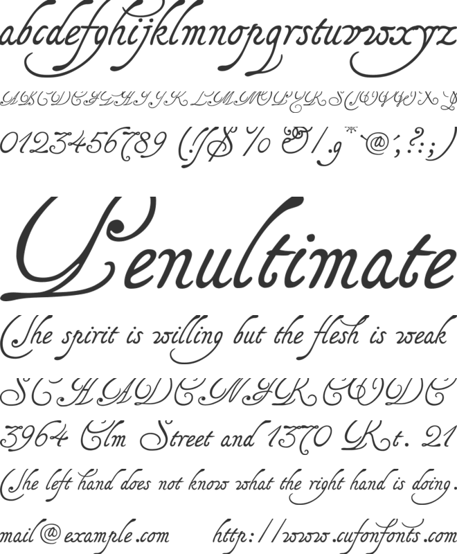 Tagettes font preview