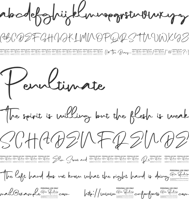 The Diary Personal Use Only font preview