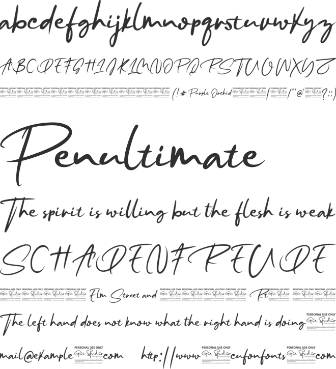 Purple Orchid Personal Use font preview