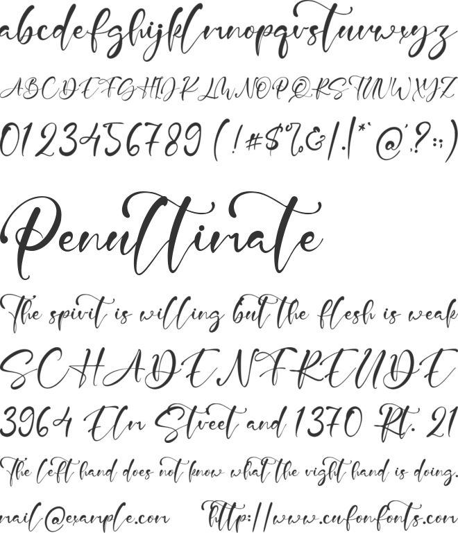 Jayne Green font preview