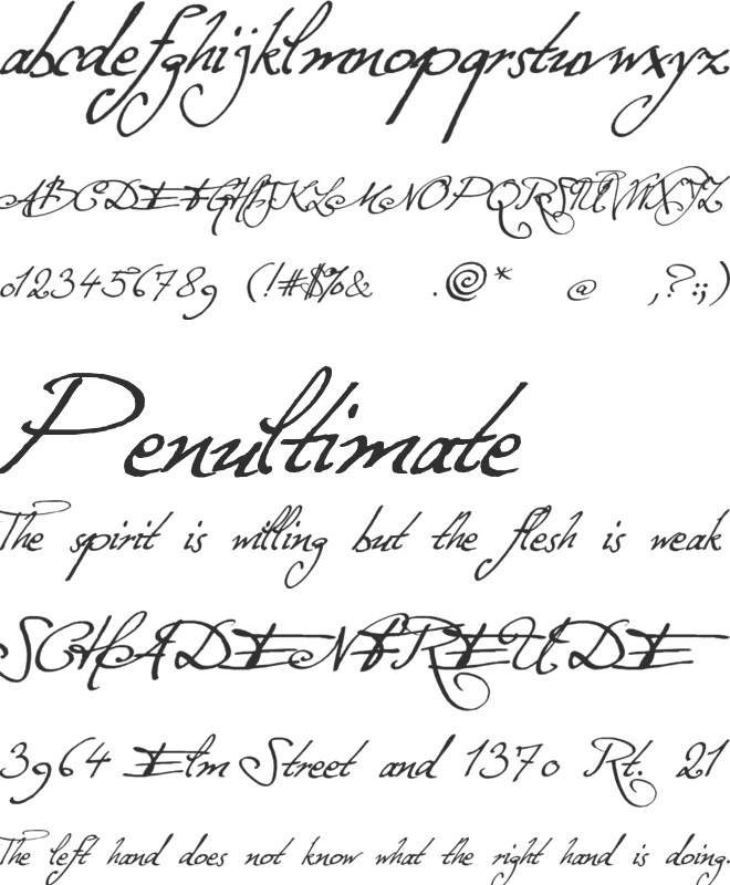 Excellentia in excelsis font preview