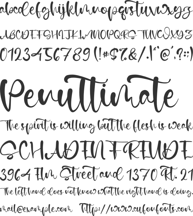 Norman Kane font preview