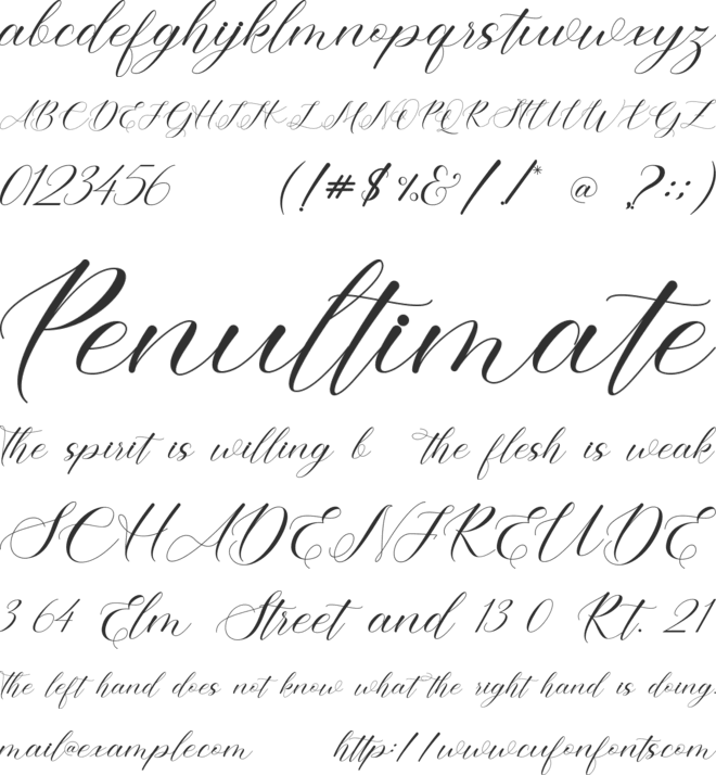 Amira font preview