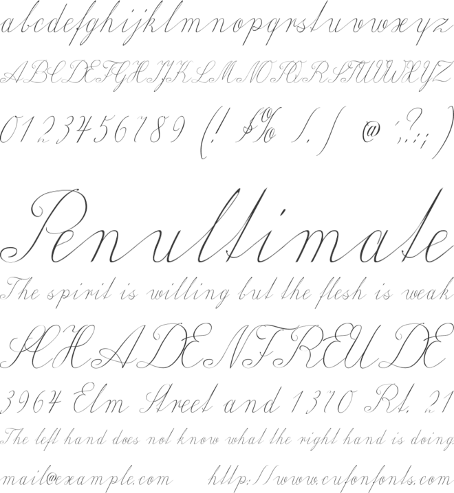 Wiegel Latein font preview