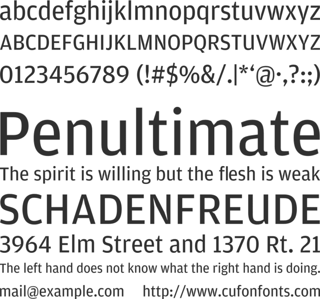 NewsSector Amplitude font preview