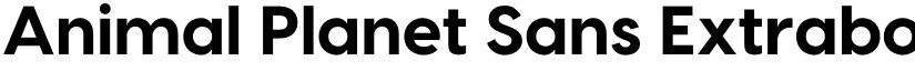 Animal Planet Sans Extrabold font