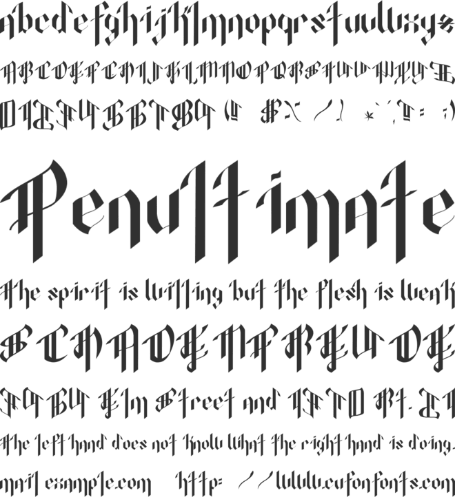 Octopustype font preview