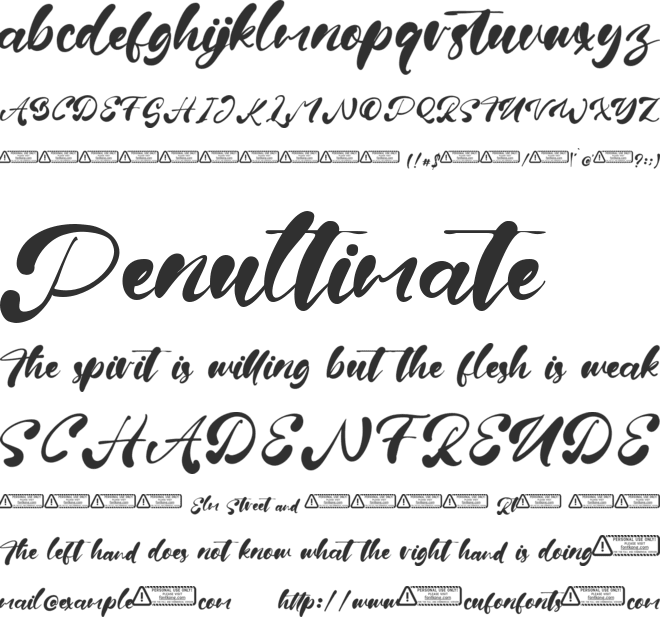 Fiona Brown font preview