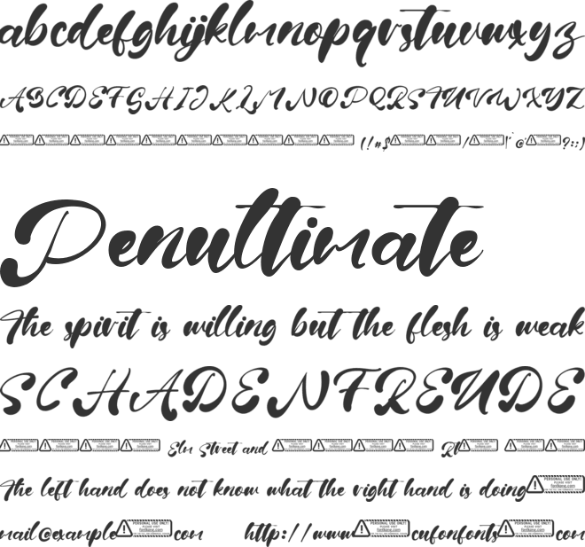 Fiona Brown font preview