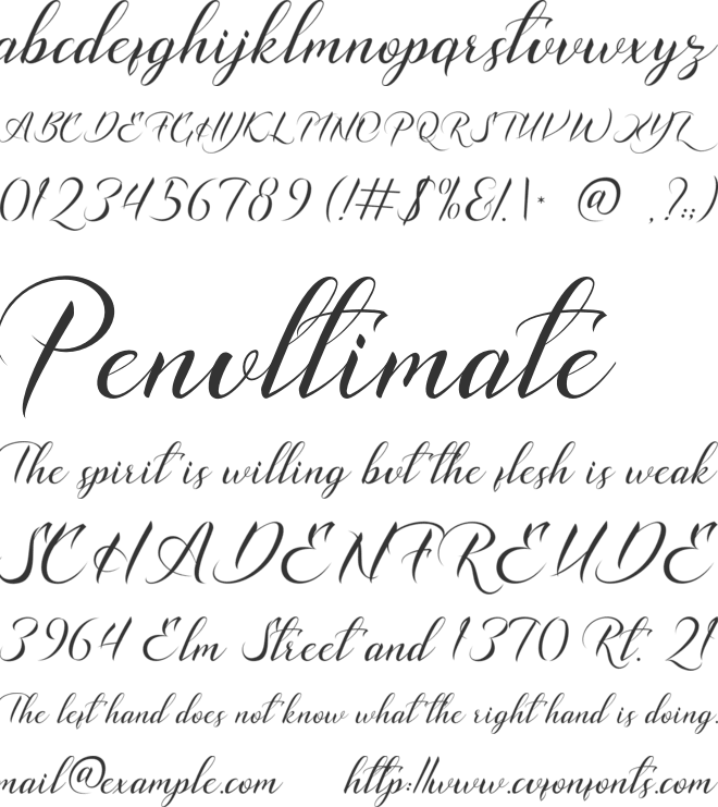 Carlotte font preview