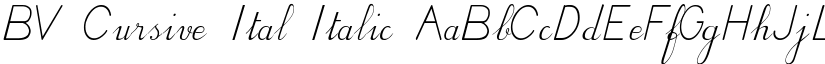 BV Cursive Ital Italic font