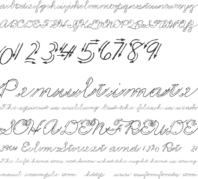 Premiers Mots Script font preview