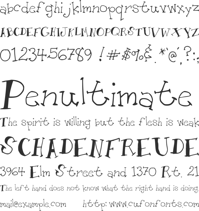 AM Toon font preview