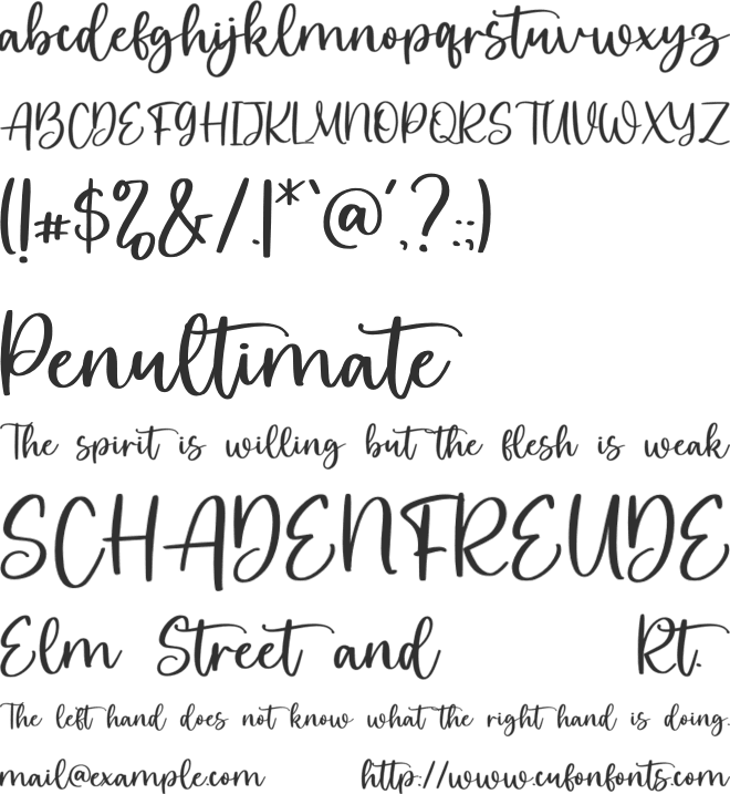 Wittierly font preview